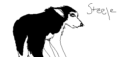 Steele