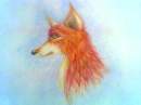 red fox