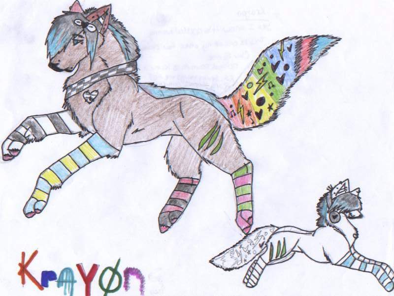 Krayon