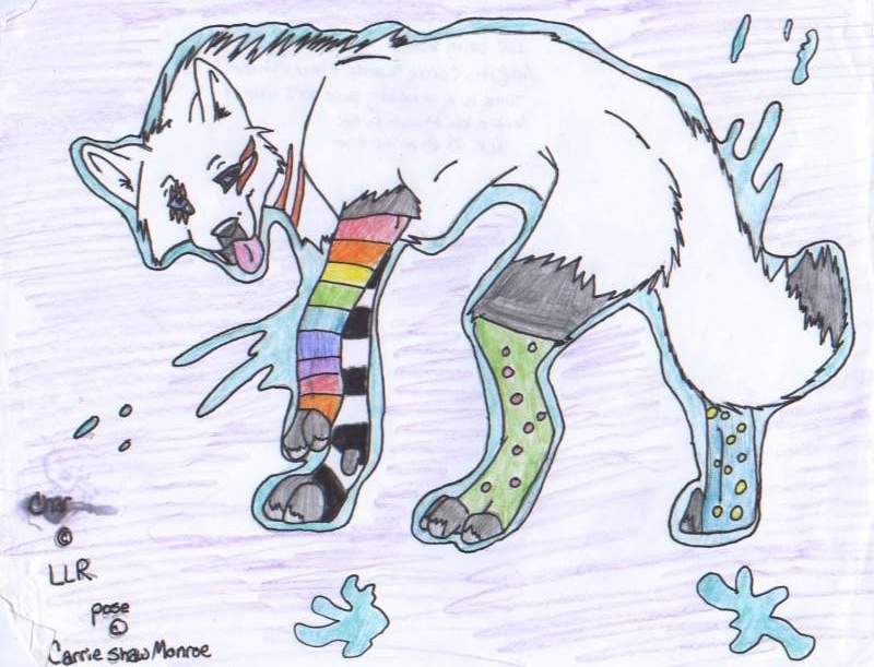 You Rock My Socks