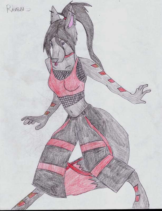 Raven