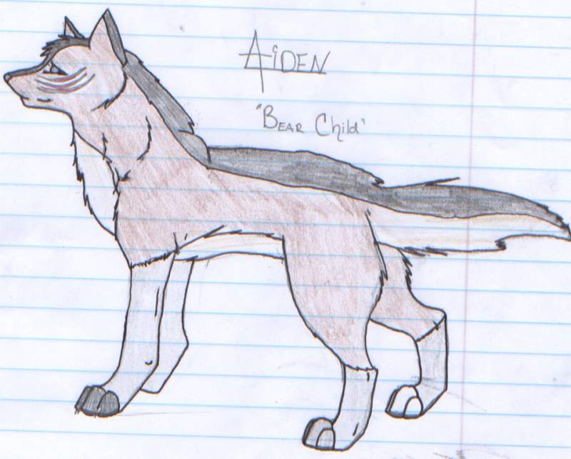 Aiden