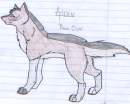 Aiden