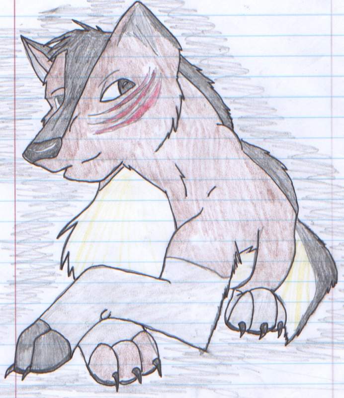 Aiden