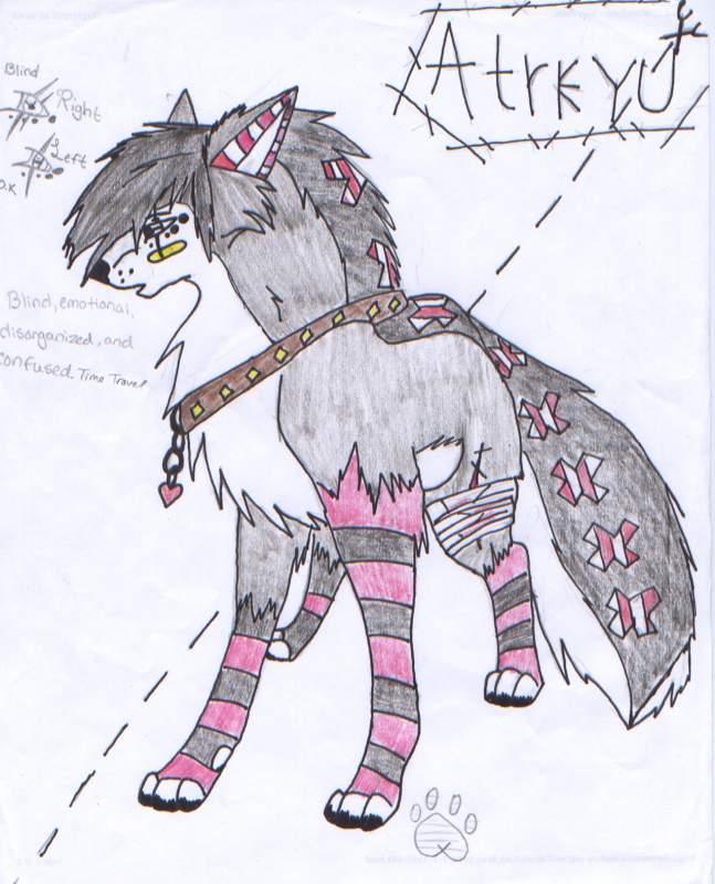 BFD contest entry