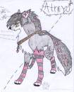 BFD contest entry