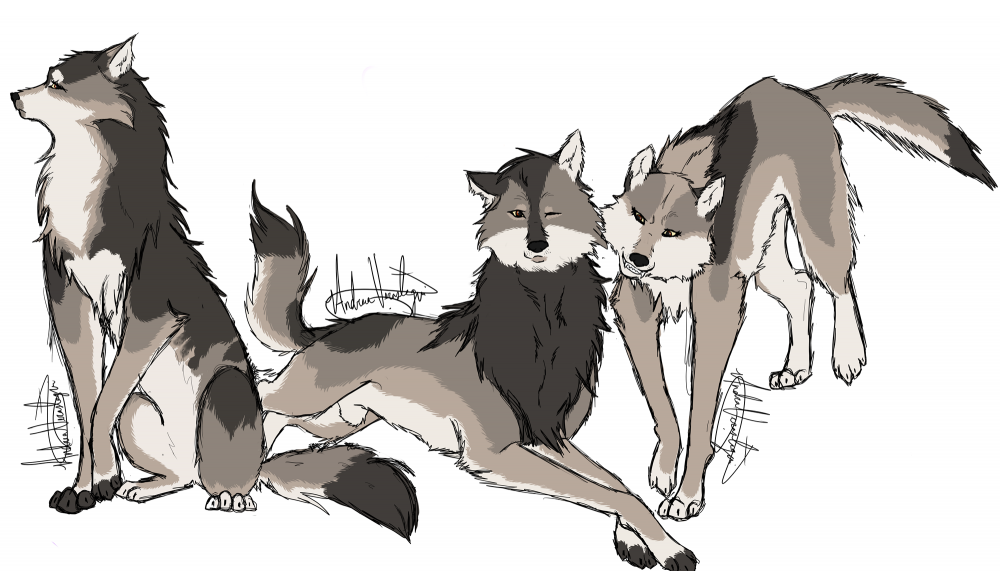 The Trio