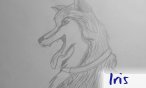 iris
