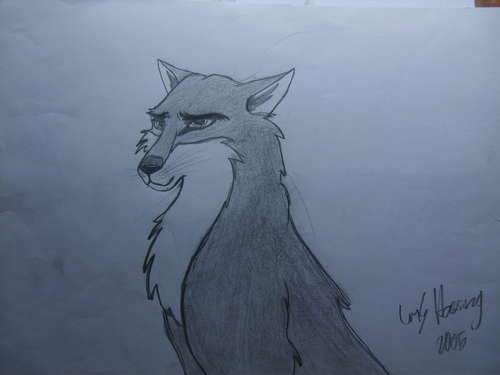 Wolf :)