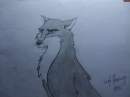 Wolf :)