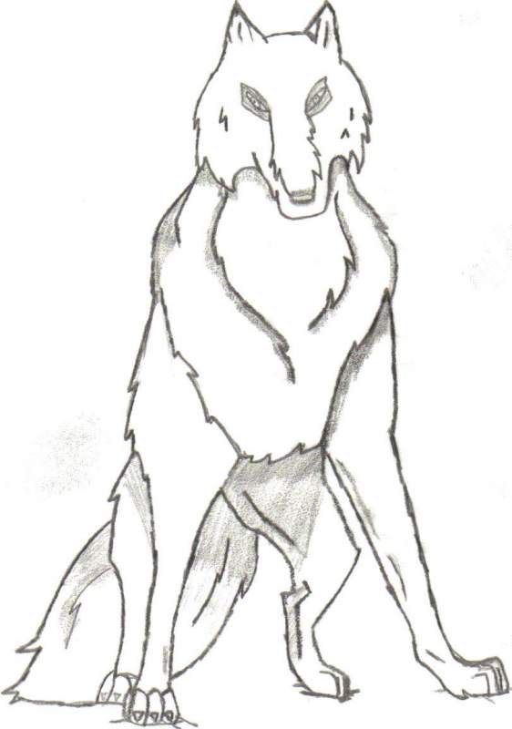 white wolf