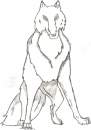 white wolf