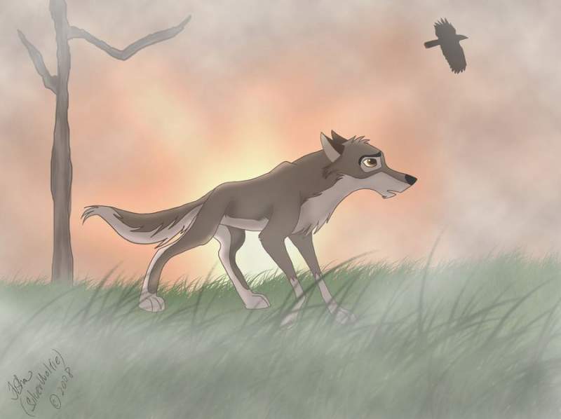 Balto and raven