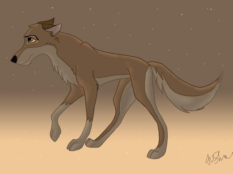 Balto x