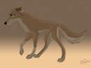 Balto x