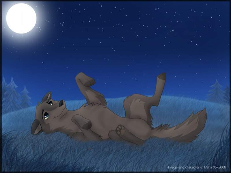 Beautiful night