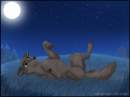 Beautiful night