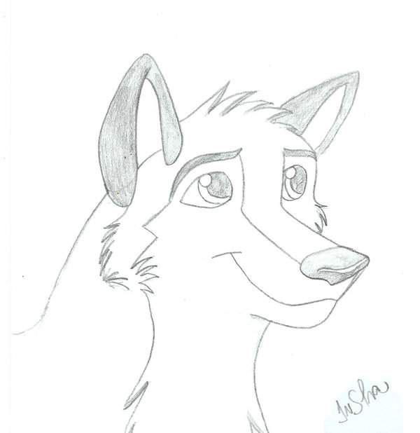 Dog (Wolf??) 