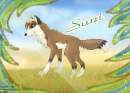 Suni