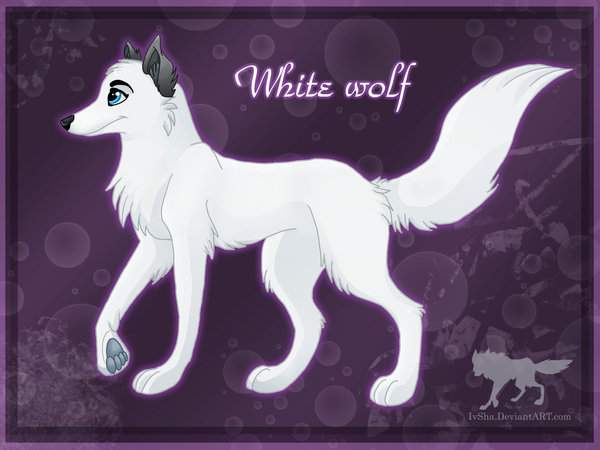 White wolf