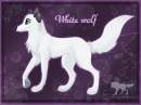 White wolf