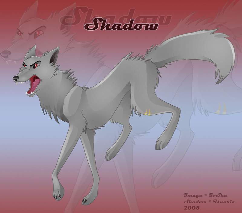 Shadow