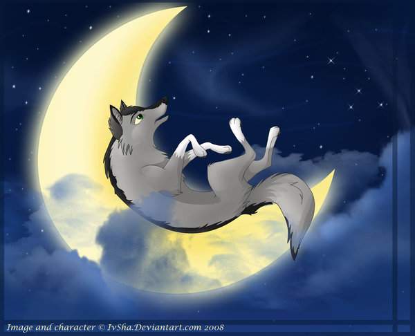 On the moon