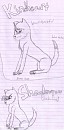 Aleu in different forms