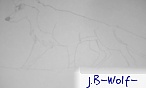 J.B-Wolf-