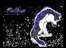Pachua 4 Saske Italian Wolf
