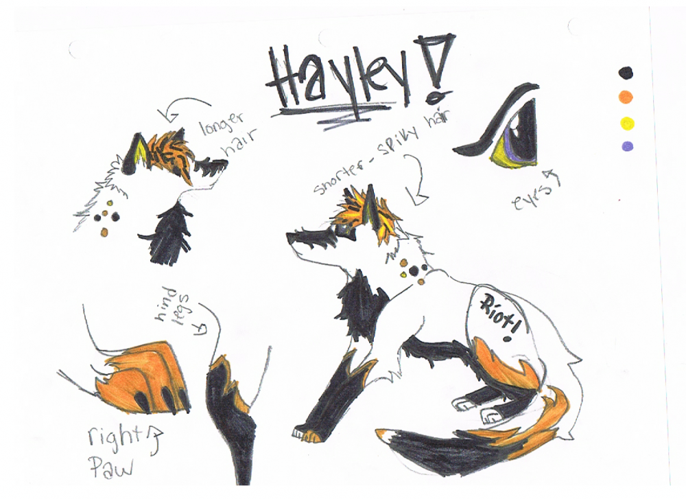Hayley! For MyLittleDecoy
