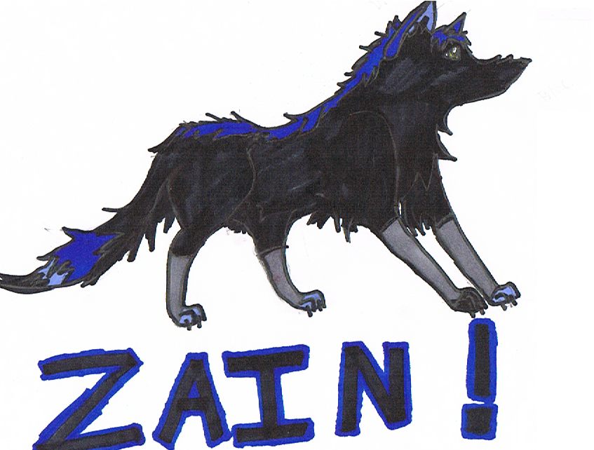 Zain for..uh....Zain lol