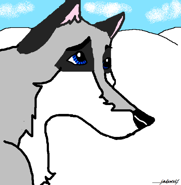 Evelyn by the snowy hillz x]