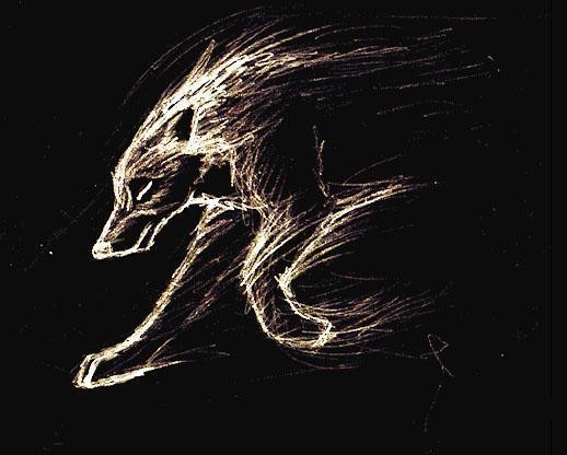 simple wolf sketch