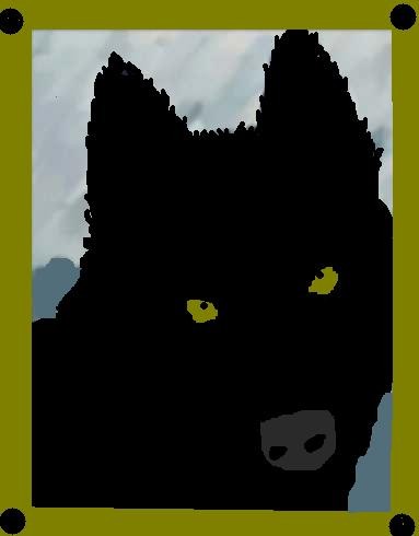 gimp and scanner are down, only recource:paint -.-