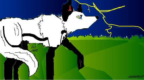 For Jett