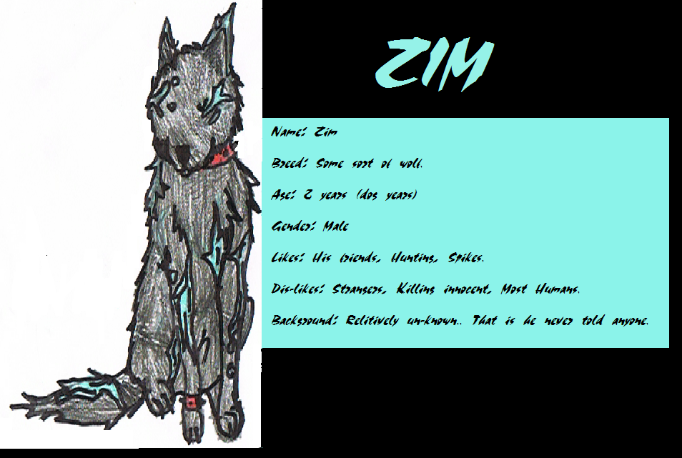 Character sheet