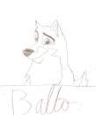 Balto!