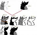 Family Tree