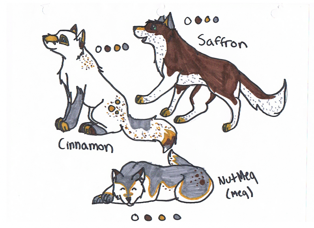 Salt & Peppers Litter