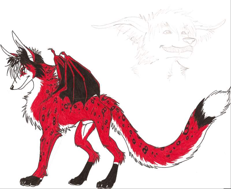 Kalypto Hybrid