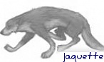 jaquette