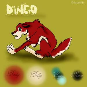 Dingo Ref Sheet