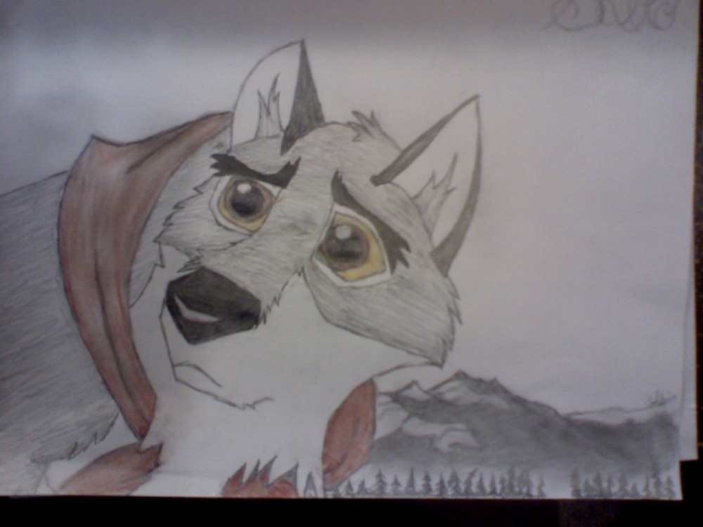 Balto