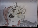 Balto