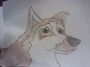 Toby.... before i colored him fully
