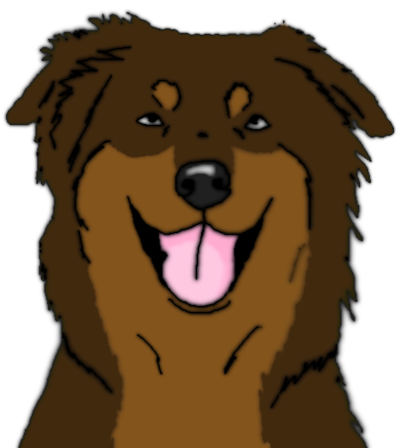 Australian Shepherd