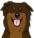 Australian Shepherd