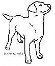 FREE Labrador Retriever Lineart