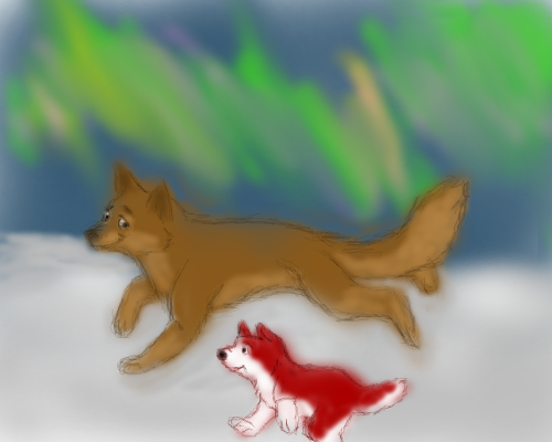 The Father and Son Run